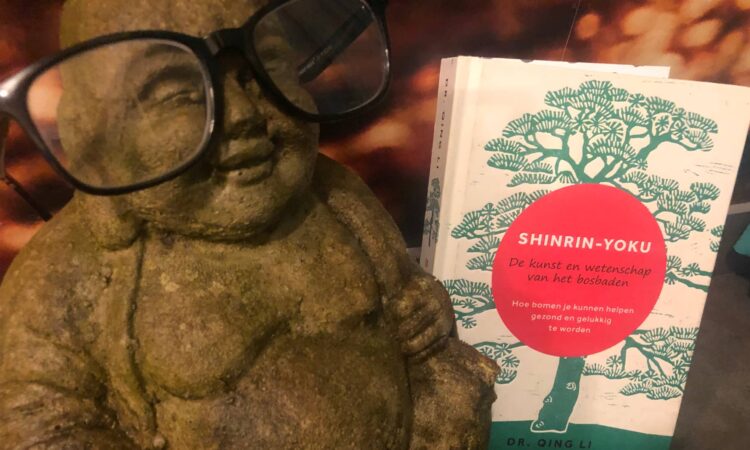 cover van het boek en buddha met leesbril