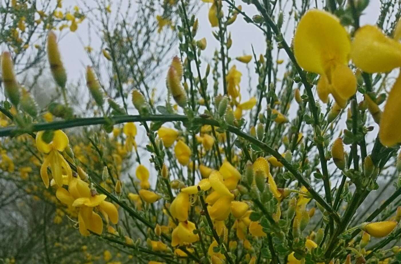 Daar is de lente, daar is